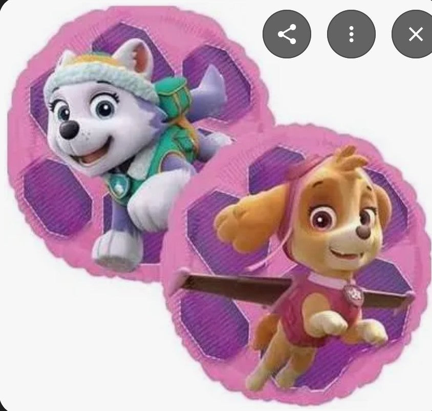 Ballon 18 pouces Stella et Everest pat patrouille